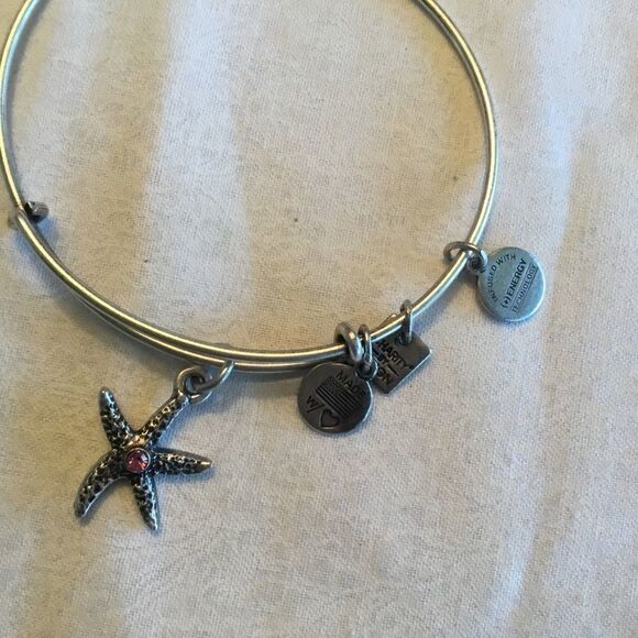 Alex & Ani Silvertone Bangle - Picture 1 of 7
